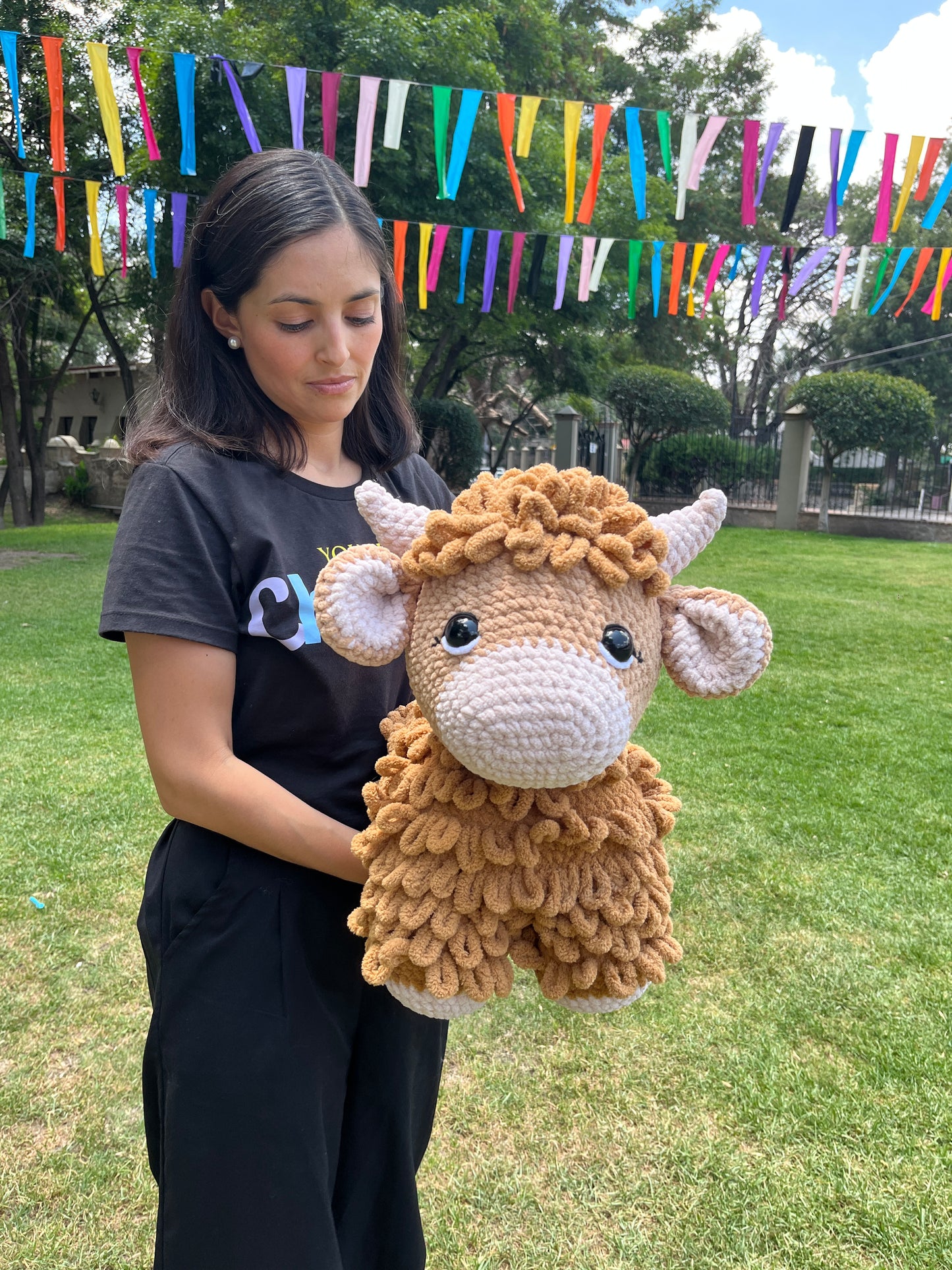 Highland cow