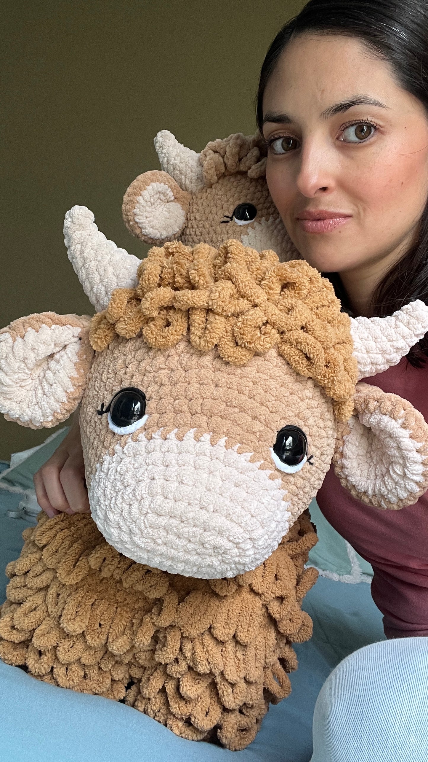 Highland cow