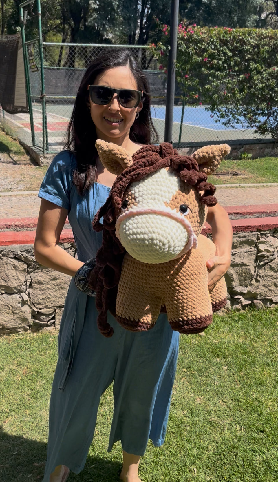 Mega Caballo Pony