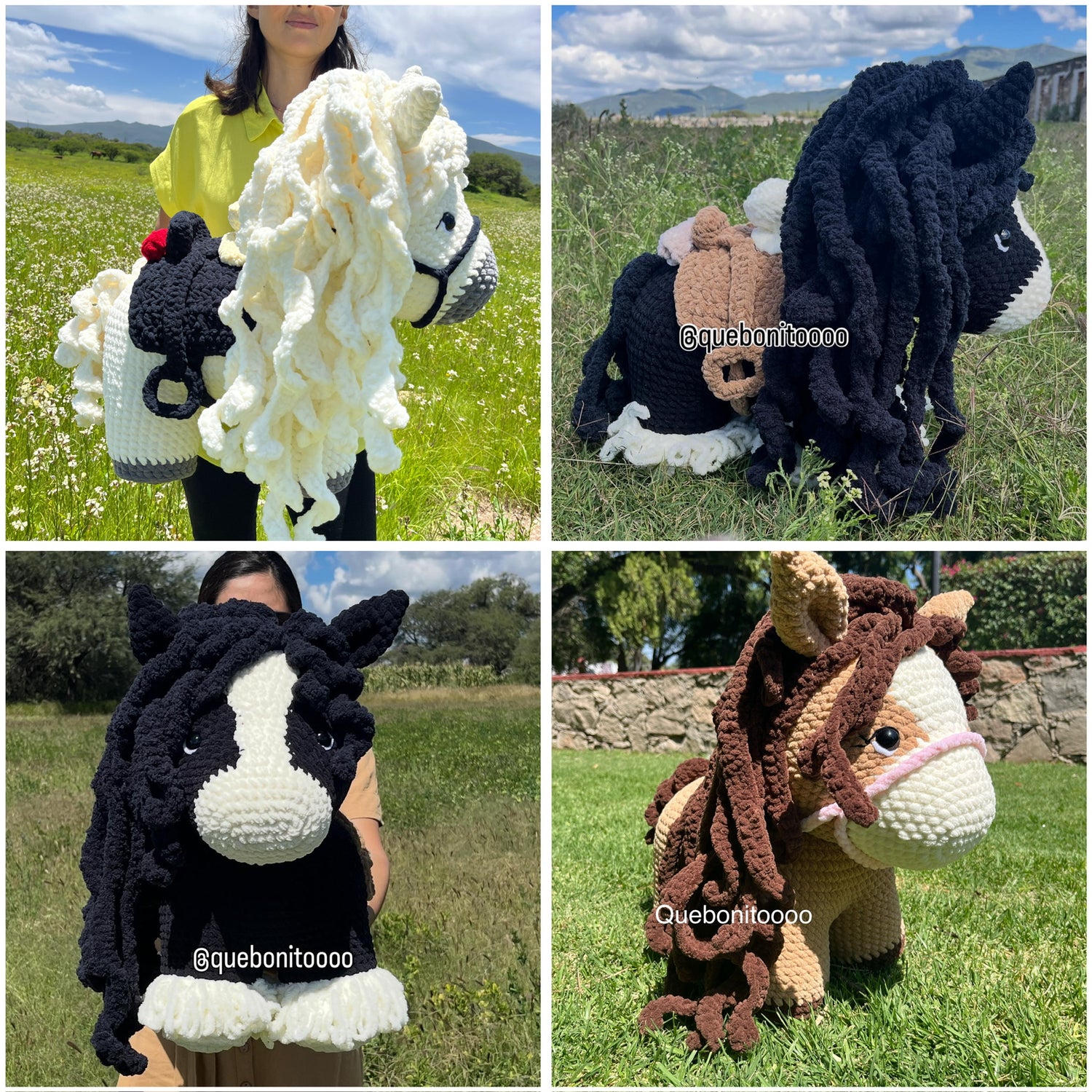 Caballos