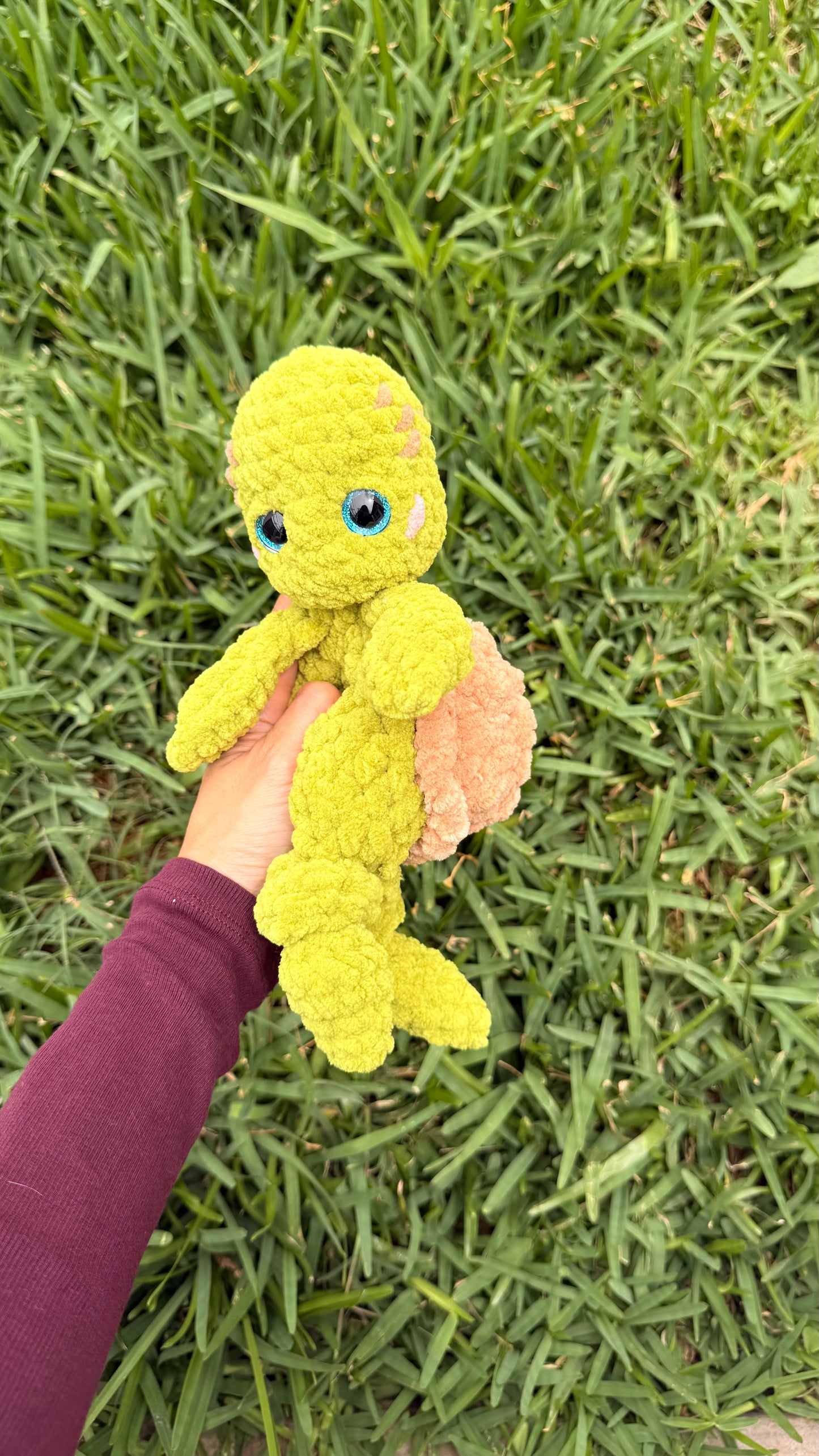 Tortuguita 25cm