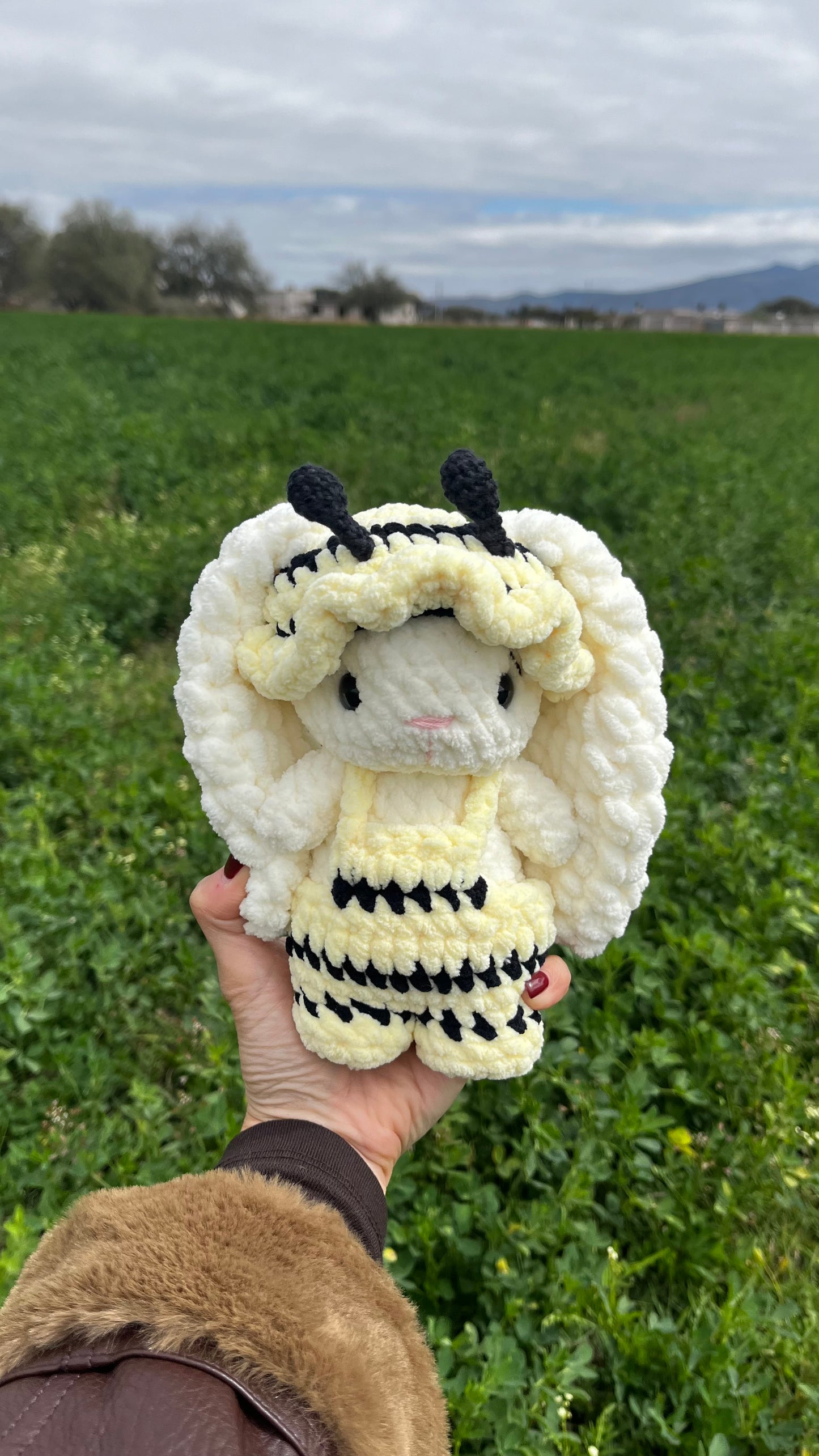 Orejón baby 18cm