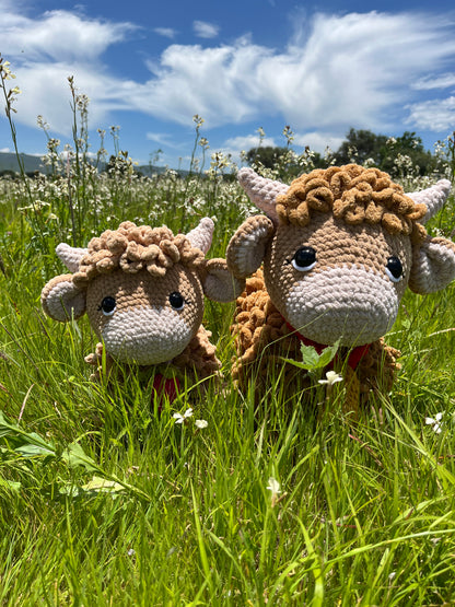 Highland cow