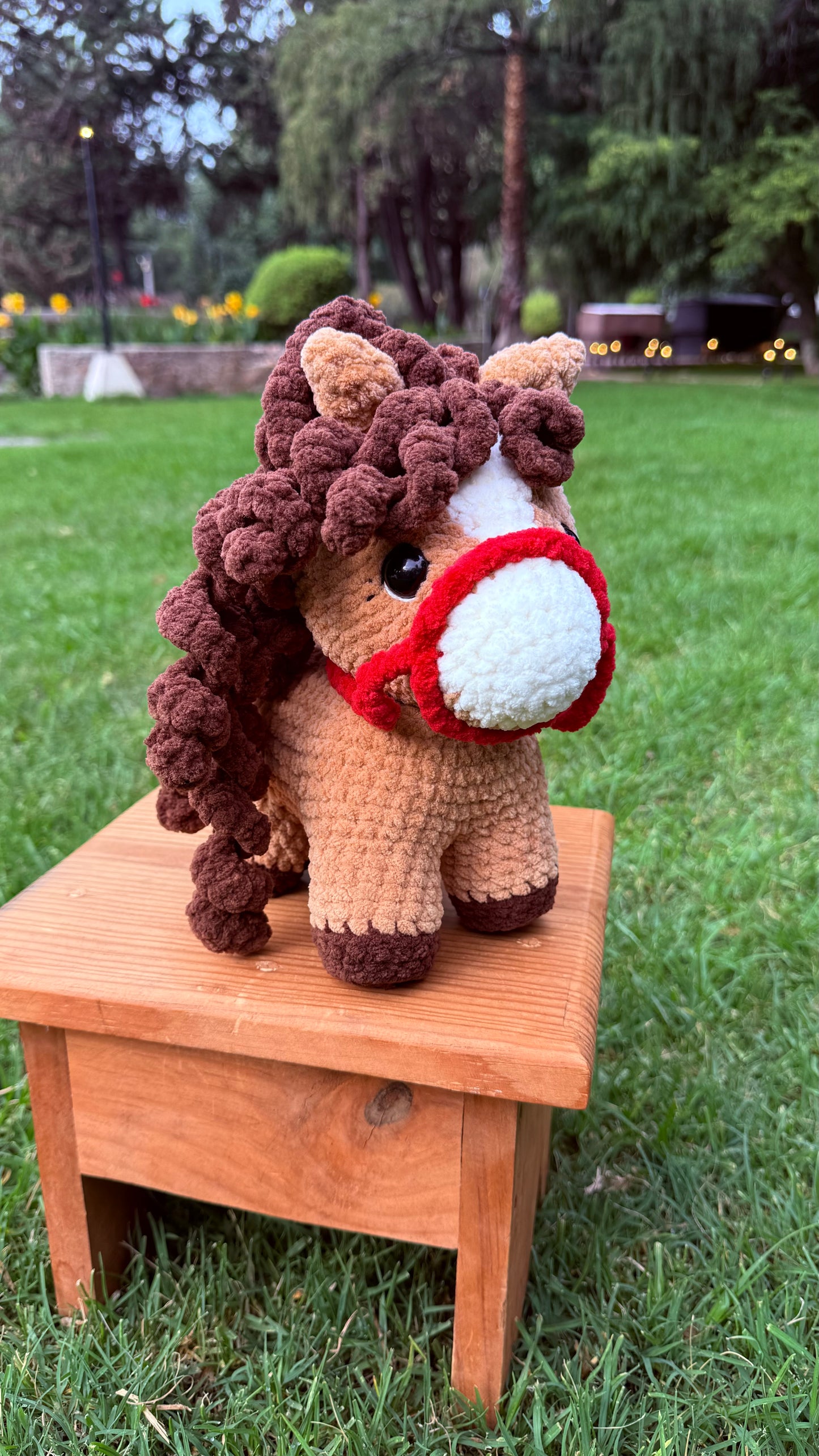 Mini Caballito